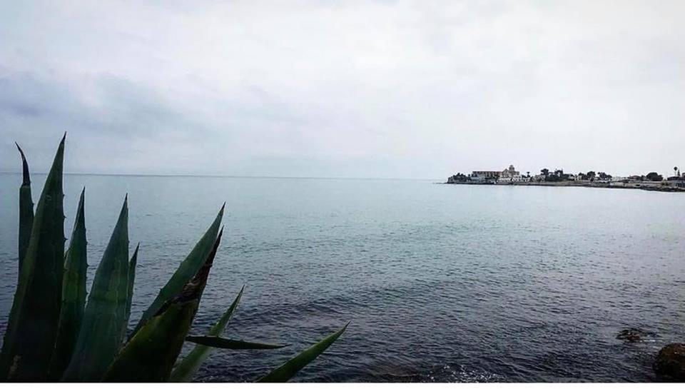 B&B Millevoglie Trani Dış mekan fotoğraf
